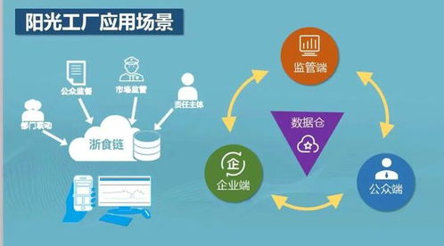 放心吃 今年舟山將建成40家 陽(yáng)光工廠